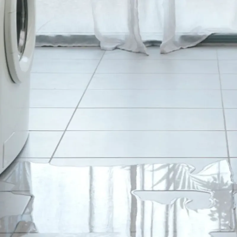 Appliance Leak Cleanup in Baraga, MI