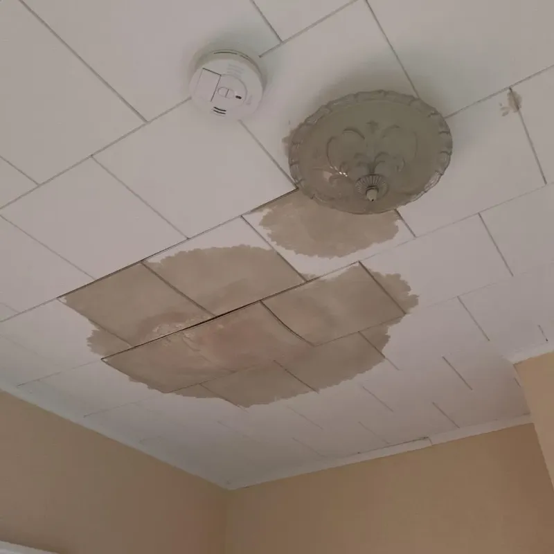 Ceiling Water Damage Repair in Baraga, MI